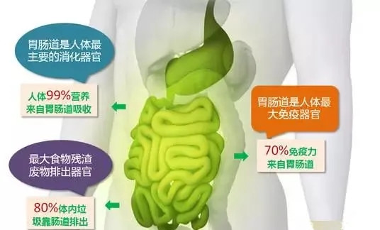 花花牛益生菌酸奶添加国民益生菌BZ-06，更亲和国人肠道健康 