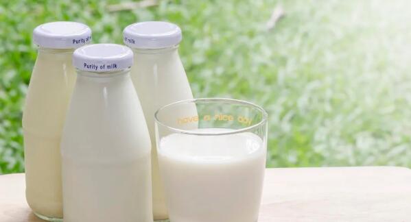 美国新膳食指南推荐低脂奶，你还要继续喝全脂奶吗？